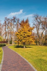 Naklejka premium Осенний пейзаж