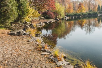 Фрагмент  озера в осеннем парке