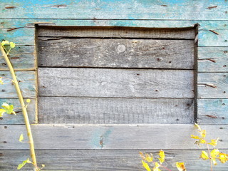 Green Wooden Boards Background
