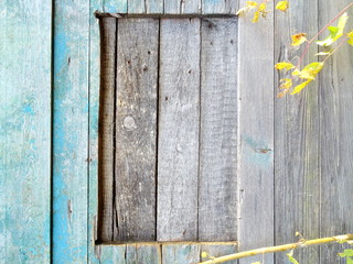 Green Wooden Boards Background