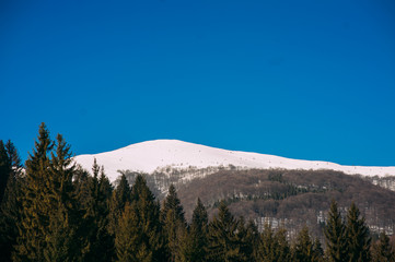 Winter landscape of Carpathians