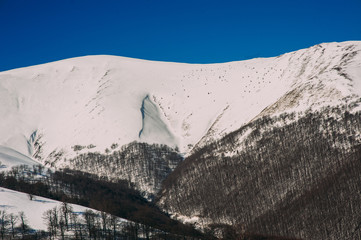 Winter landscape of Carpathians