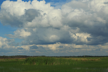 St. Marks National Wildlife Refuge