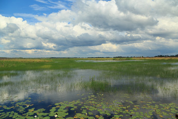 St. Marks National Wildlife Refuge