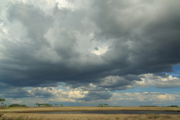 St. Marks National Wildlife Refuge