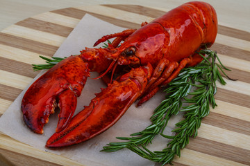 Lobster