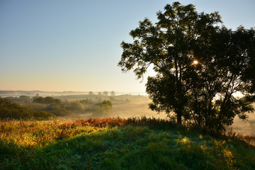 Fototapeta na wymiar foggy autumn morning rural landscape