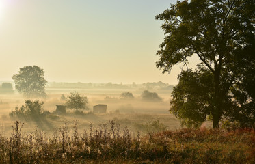 Fototapeta na wymiar foggy autumn morning rural landscape