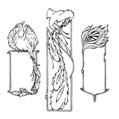 set with firebird frames