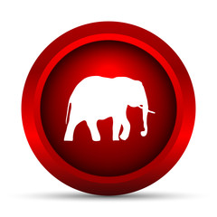 Elephant icon