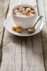 Hot chocolate with marshmallows 