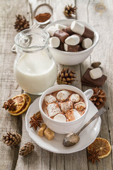 Obraz na płótnie Canvas Hot chocolate with marshmallows 