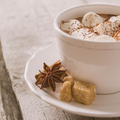 Hot chocolate with marshmallows 