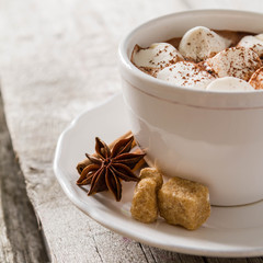 Hot chocolate with marshmallows 