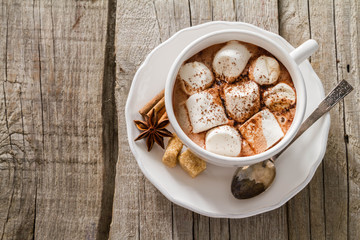 Hot chocolate with marshmallows 