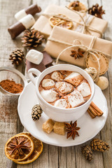 Fototapeta premium Hot chocolate with marshmallows 