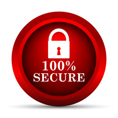 100 percent secure icon