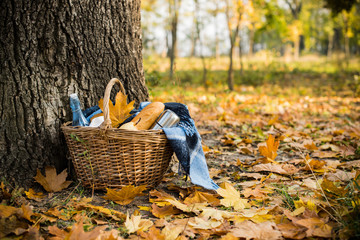 Autumn picnic in park