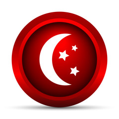 Moon icon