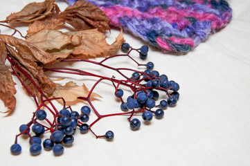 colorful knitting and berries