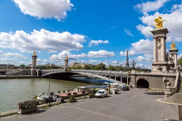 Photo sur Plexiglas Pont Alexandre III Eiffel Tower and bridge Alexandre III