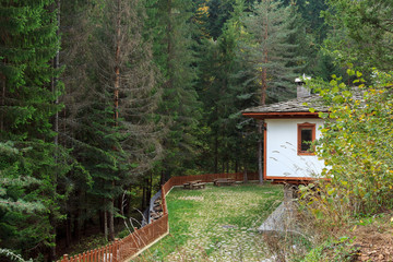 house in the forest