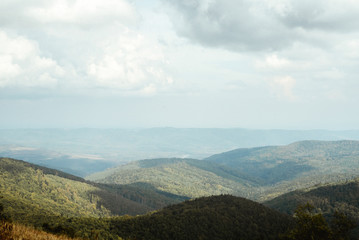 Fototapeta premium beautiful amazing landscape of sunny mountains, forest, sky and