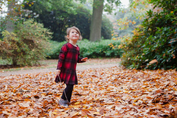 A toddler girl in red tartan dress playing with falling leaves and sticks
