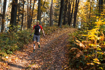 trail runner with poles training on the wide track in the forest