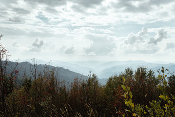 beautiful amazing landscape of sunny mountains, forest, sky and