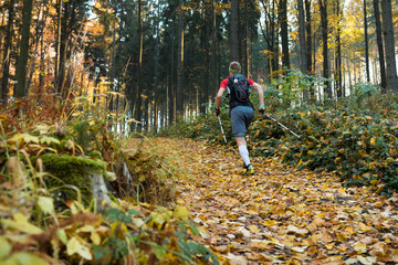 Fototapeta premium man with poles running up the hill in autumn forest