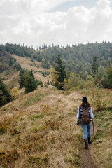 beautiful amazing landscape of sunny mountains, forest, sky and