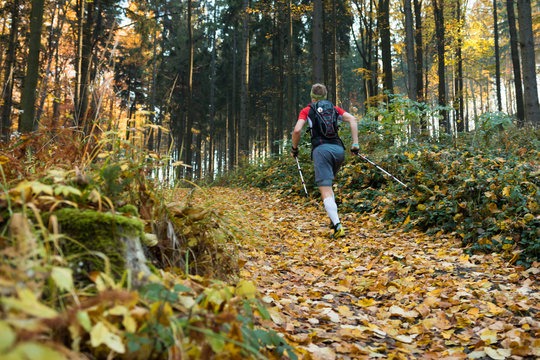man with poles running up the hill in autumn forest