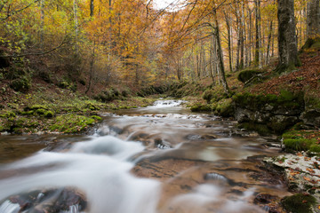 Sorgenti dell'Arzino
