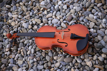 Geige Instrument Garten Park