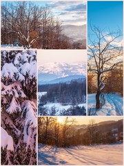 winter nature beautiful collage images
