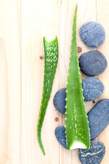 Aloe vera on Stones spa treatment scene natural spas ingredients
