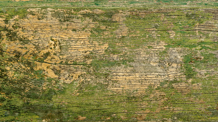 An old wooden green surface.