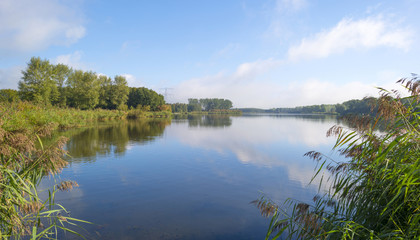 Fototapeta na wymiar Shore of a lake below a blue cloudy sky in autumn