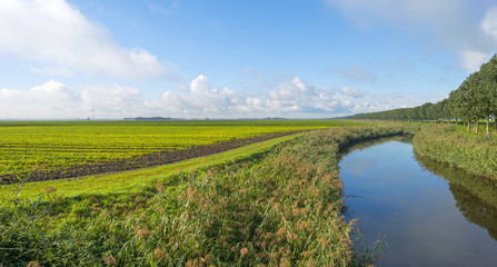 Canal through a rural landscape in autumn