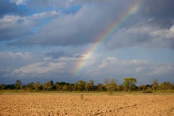 Rainbow over fields in Maiorca