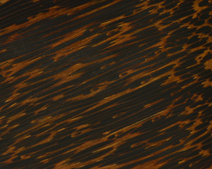 Wood background