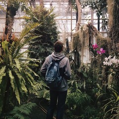 man in the greenhouse