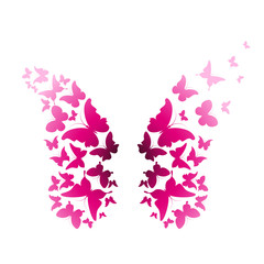 butterflies design