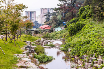 Fototapeta premium Natura w Jinhae
