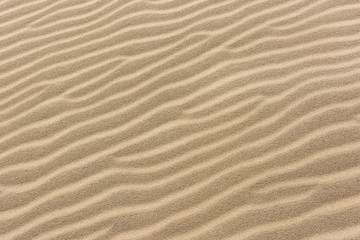 Fototapeta na wymiar Textured Sand As Background