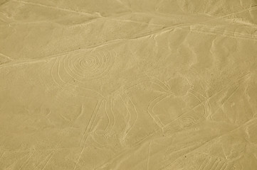 The Monkey - Nasca Lines - Peru