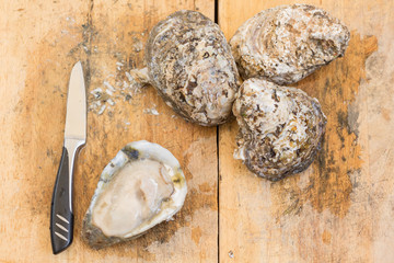 Fresh oysters and knife on wooden board