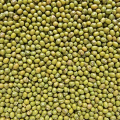 Green bean or mung bean background