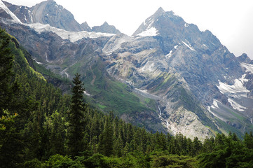 Fototapeta premium snow mountain and forest